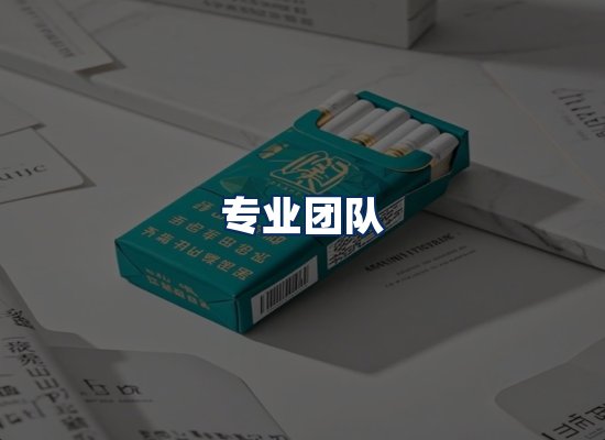 专业团队
